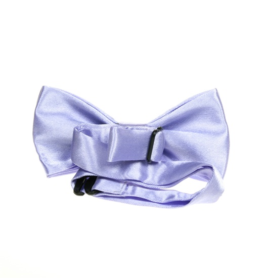 Boy's Mauve Bow Tie