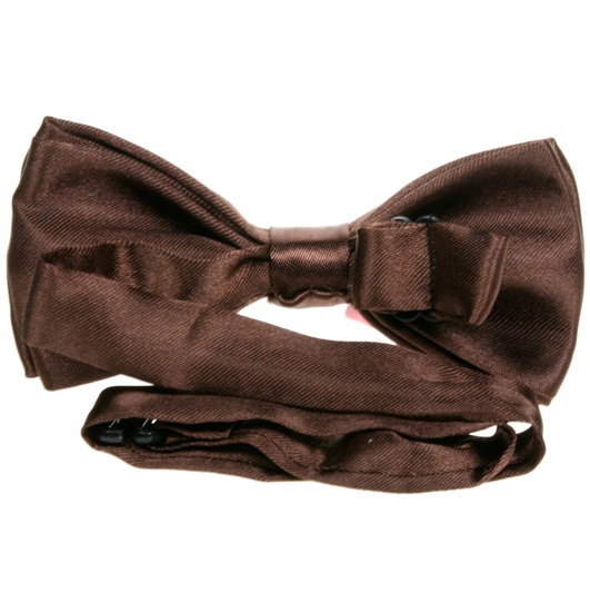 Boy's Brown Bow Tie