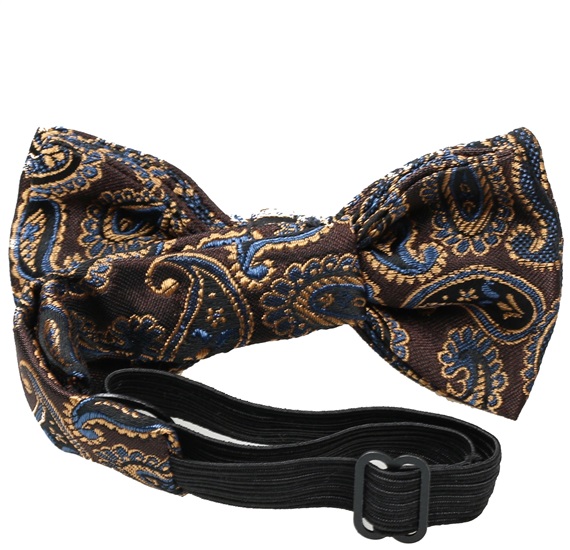 Boy's Brown Bow Tie