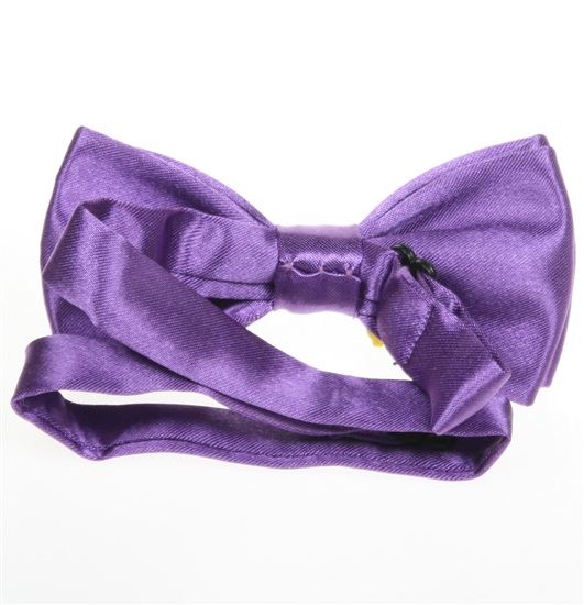 Boy's Purple Bow Tie