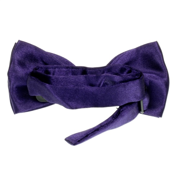 Boy's Purple Bow Tie