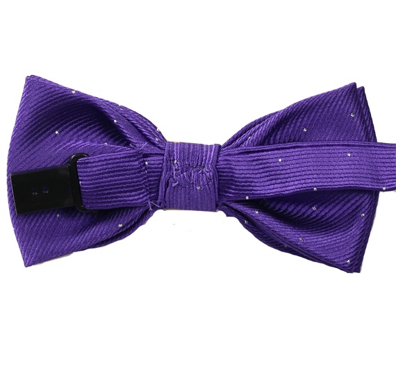 Boy's Purple Bow Tie