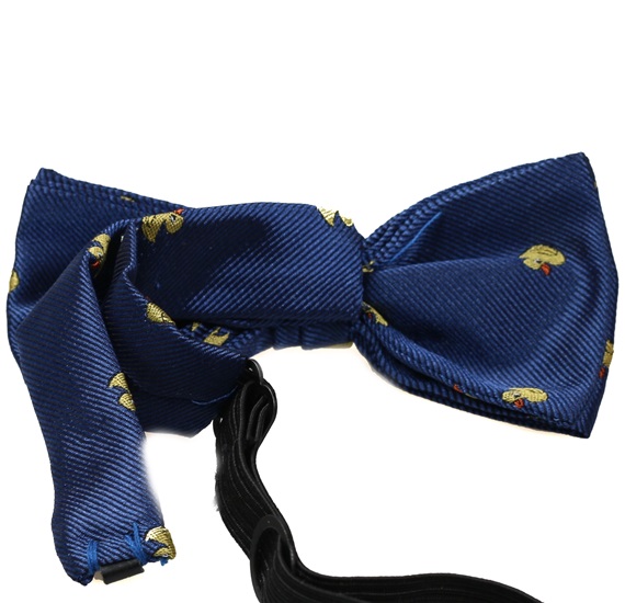 Boy's Bow Tie Ducks