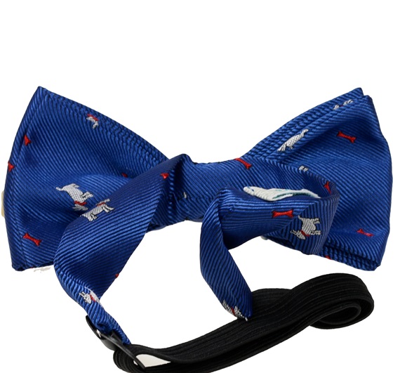 Boy's Bow Tie