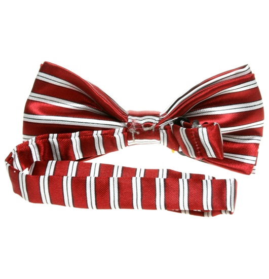 Boy's Stripes Bow Tie