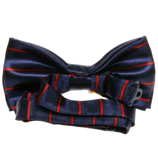Boy's Stripes Bow Tie