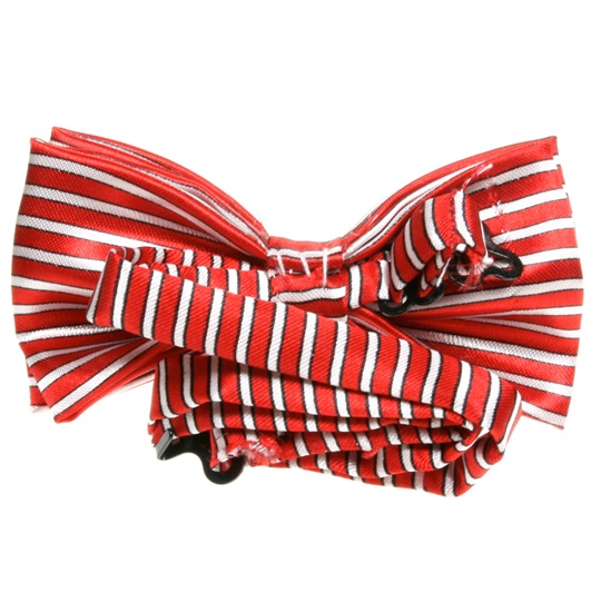 Boy's Stripes Bow Tie