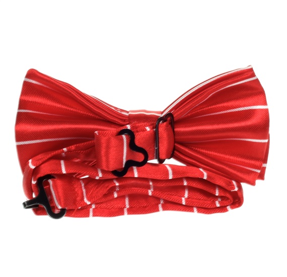 Boy's Stripes Bow Tie