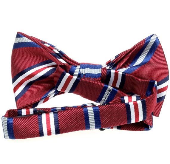 Boy's Stripes Bow Tie