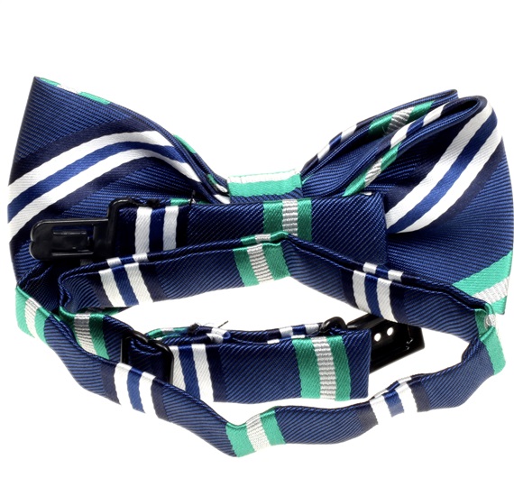 Boy's Stripes Bow Tie