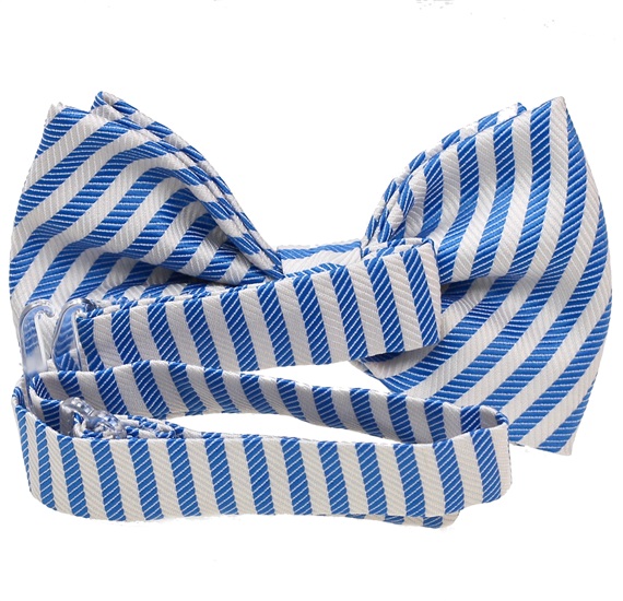 Boy's Stripes Bow Tie