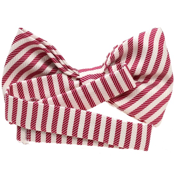 Boy's Stripes Bow Tie
