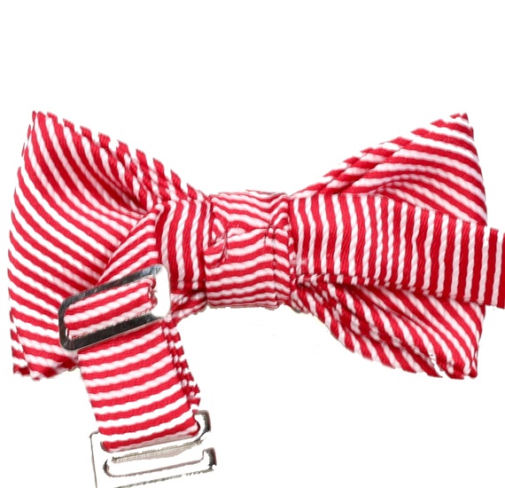 Boy's Stripes Bow Tie