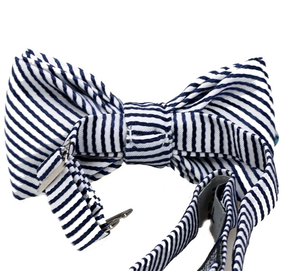 Boy's Stripes Bow Tie