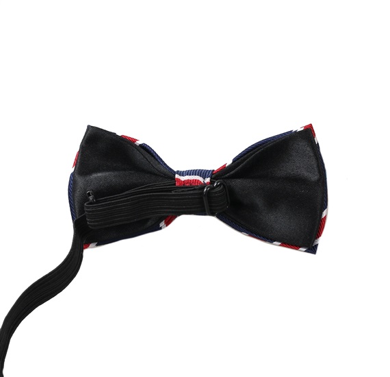 Boy's Stripes Bow Tie