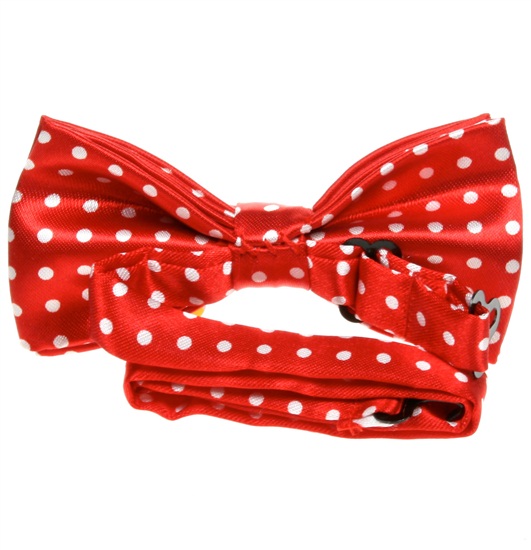 Boy's red bow tie