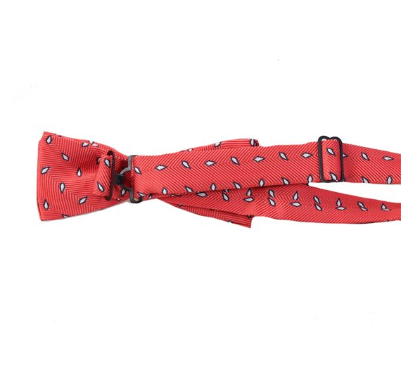 Boy's Bow Tie
