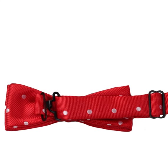 Boy's Bow Tie