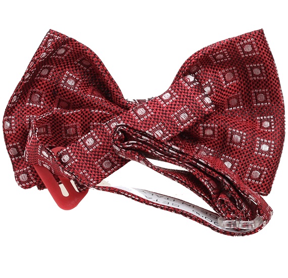 Boy's Silk Bow Tie
