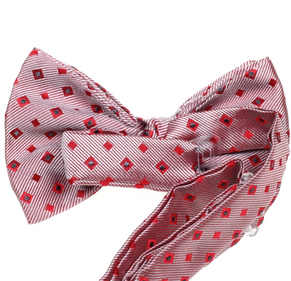 Boy's Silk Checked Bow Tie