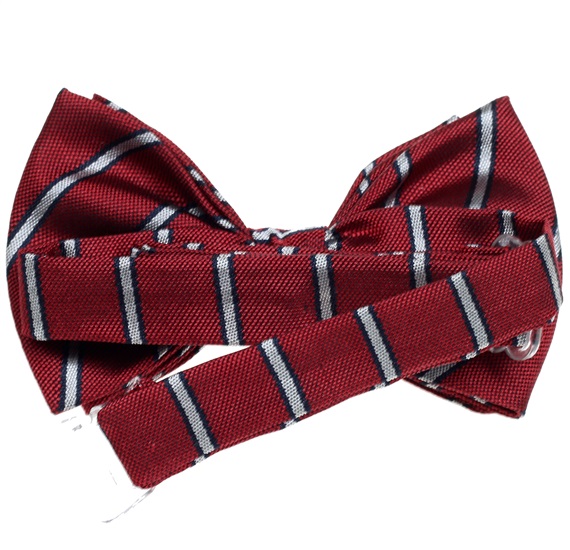 Boy's Silk Stripes Bow Tie