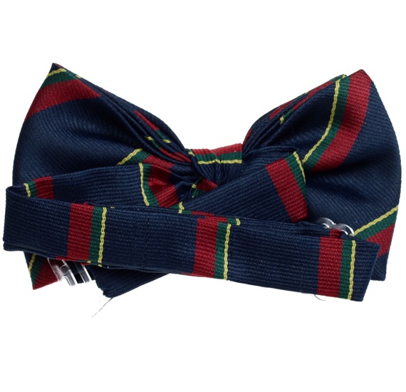 Boy's Silk Bow Tie