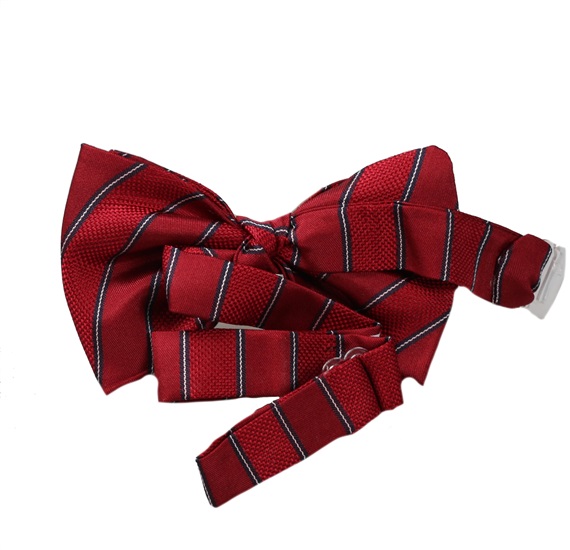 Boy's Seda Bow Tie Stripes