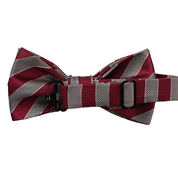 Stripes Bow Tie