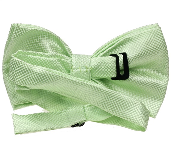 Sea green bow tie reverse