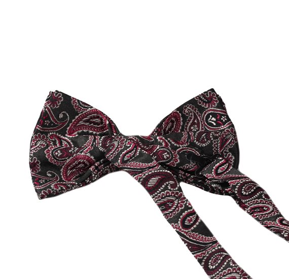 Verde Bow Tie with Paisley