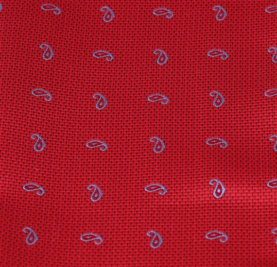 Paisley Bow Tie and Pocket Square Woven