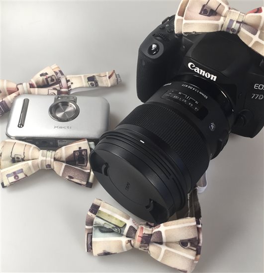 Pajaritas Fotógrafo