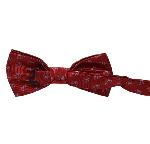 Reverse red bow tie with lions
