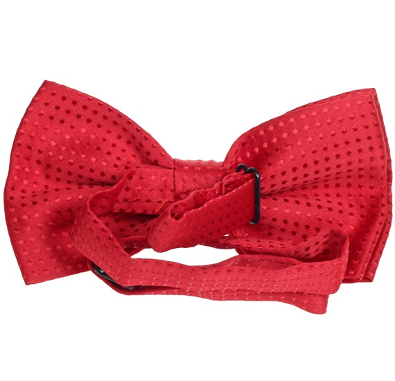 Red bow tie reverse with red dots