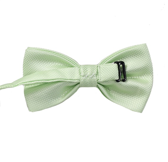 Reverse light green bow tie