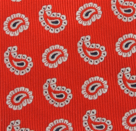 Botti 30 Paisley Tie Fabric