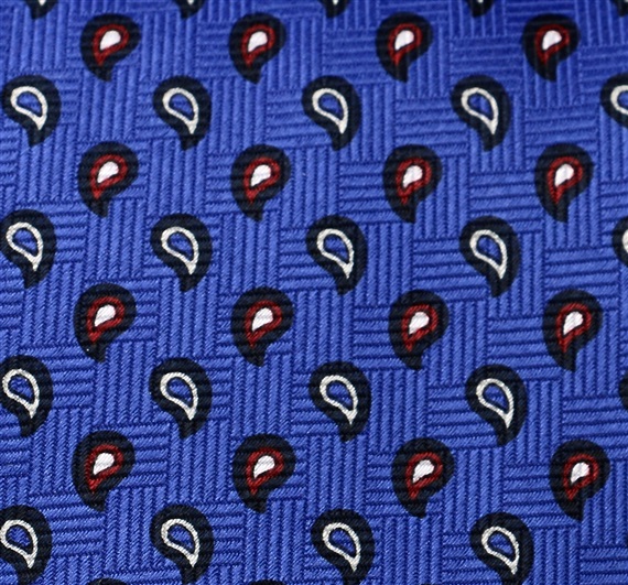 Botti 48 Paisley Tie Fabric