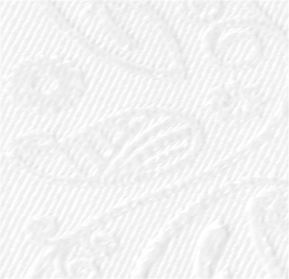 White Paisley Braces - Pisa 51
