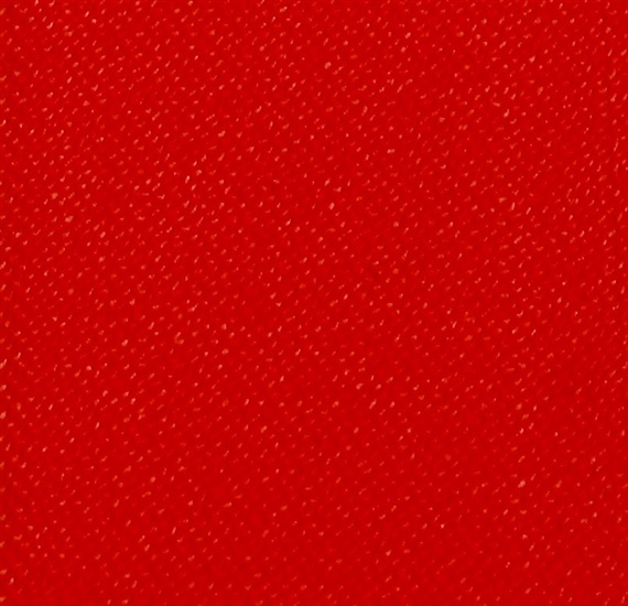 Red Elastic Braces