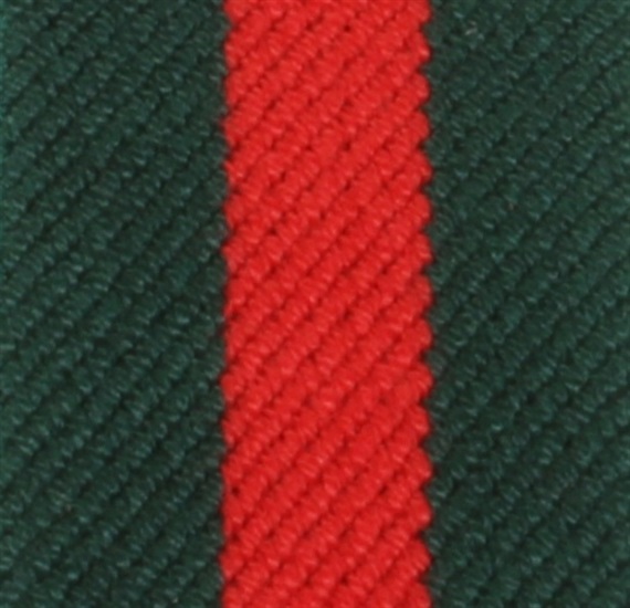 Boy's Elastic Braces
