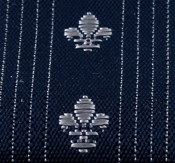 'Fleur de Lis' XXL Elastic Braces