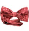 Garnet bow tie reverse with white dots