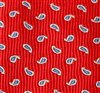 Baby's Tie