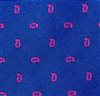 Tie with Paisley