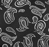 Siena 73 Paisley Tie