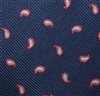 Blue Teenager's Tie