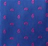 Teenager's Tie with Paisley