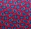 Red Silk Teenager's Tie