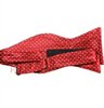 Dots Self Bow Tie