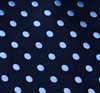 Siena 35 Dots Tie